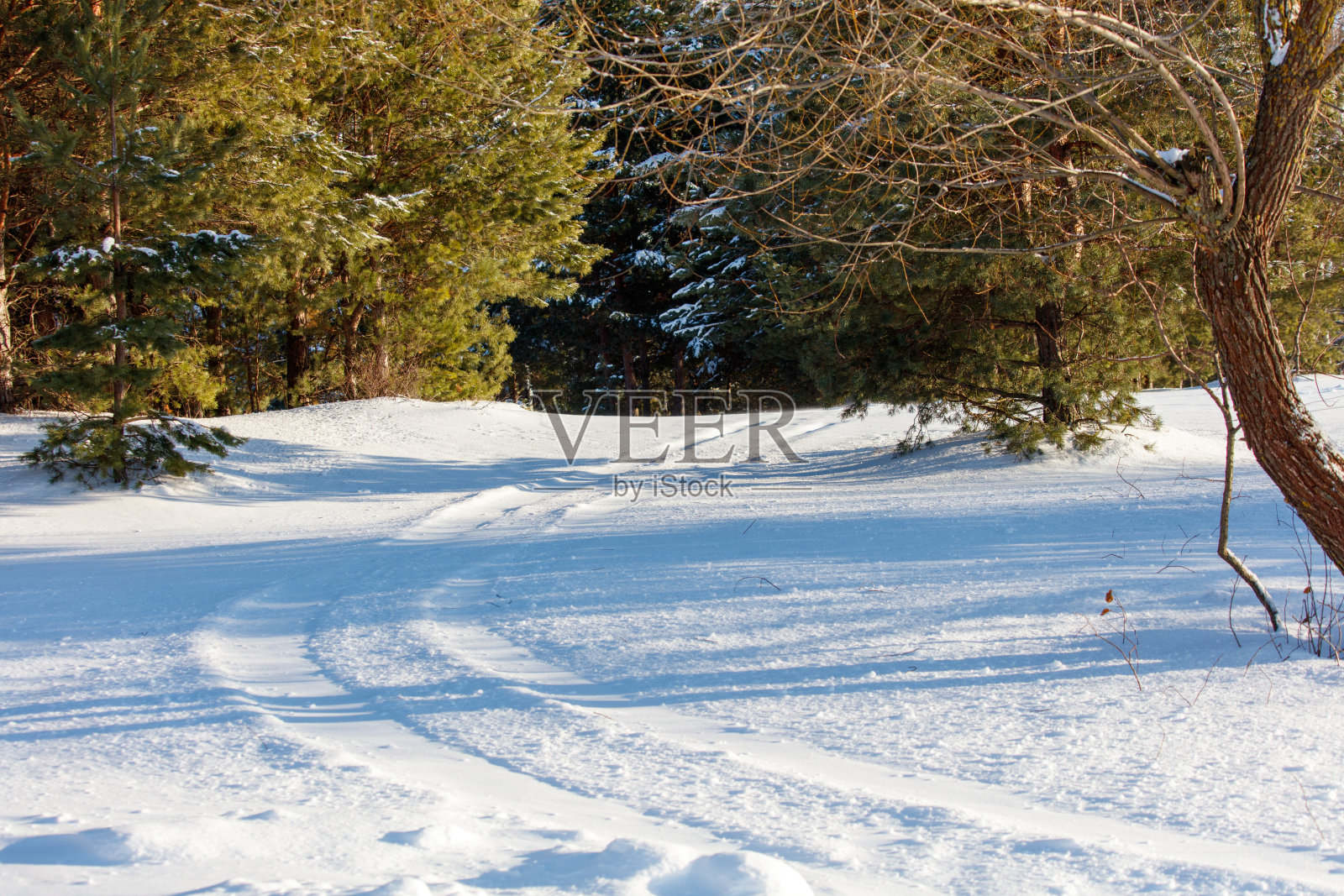 一片被雪覆盖的田野中间有一条小路照片摄影图片