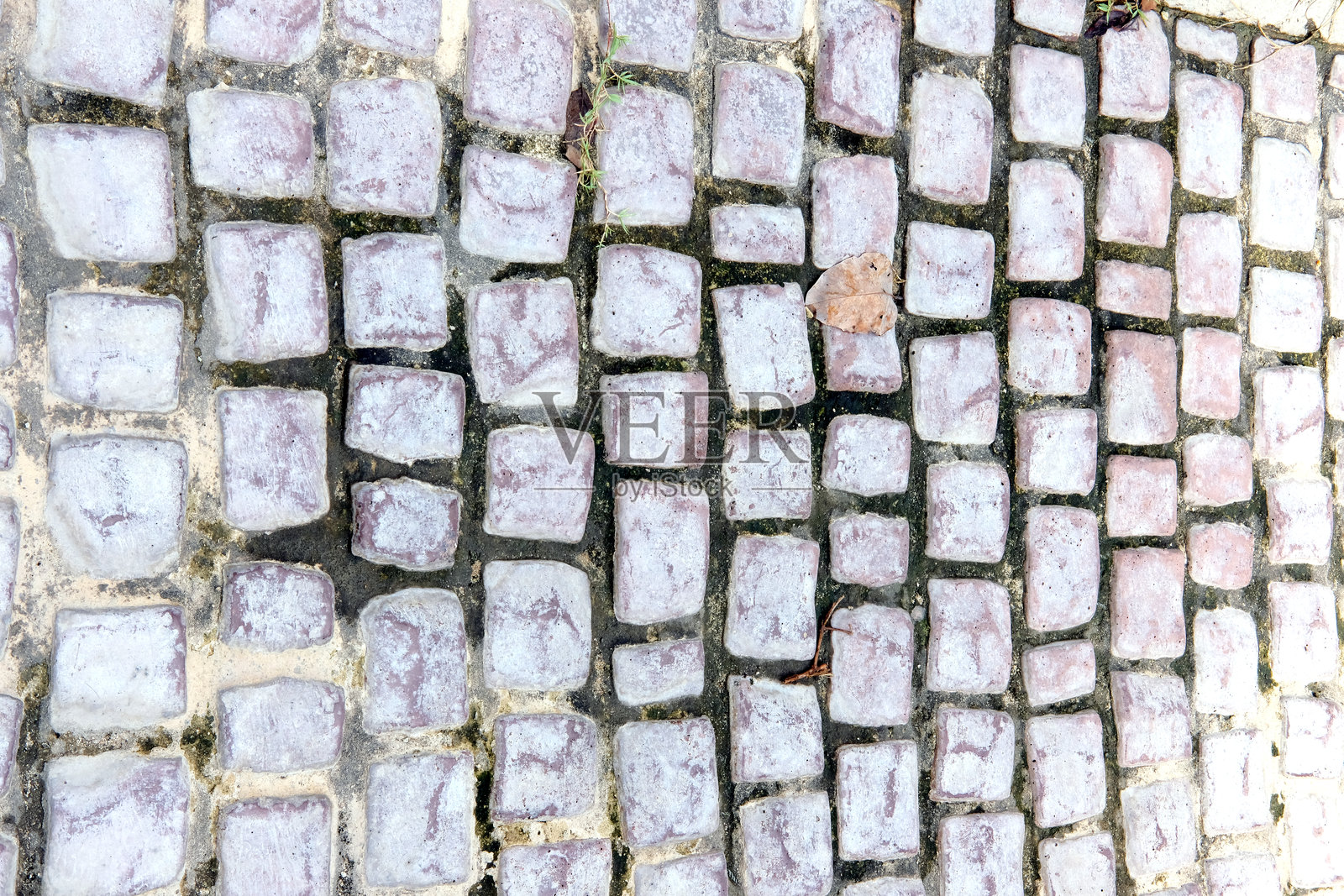 粗糙地面上的抽象形态照片摄影图片