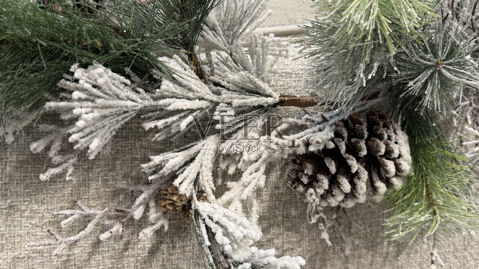 一颗孤独的松果与被雪覆盖的树枝照片摄影图片