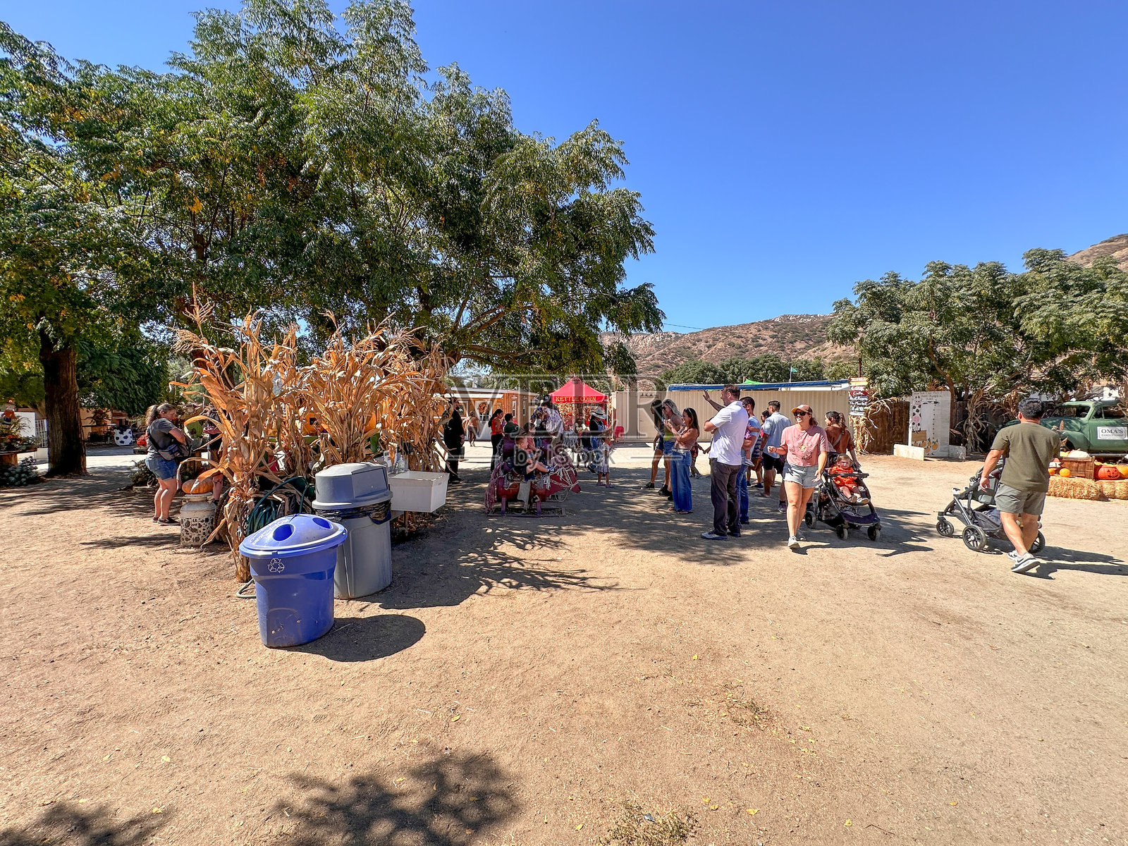 季节性冒险南瓜地节。家庭食品摊位和游乐设施，圣地亚哥照片摄影图片