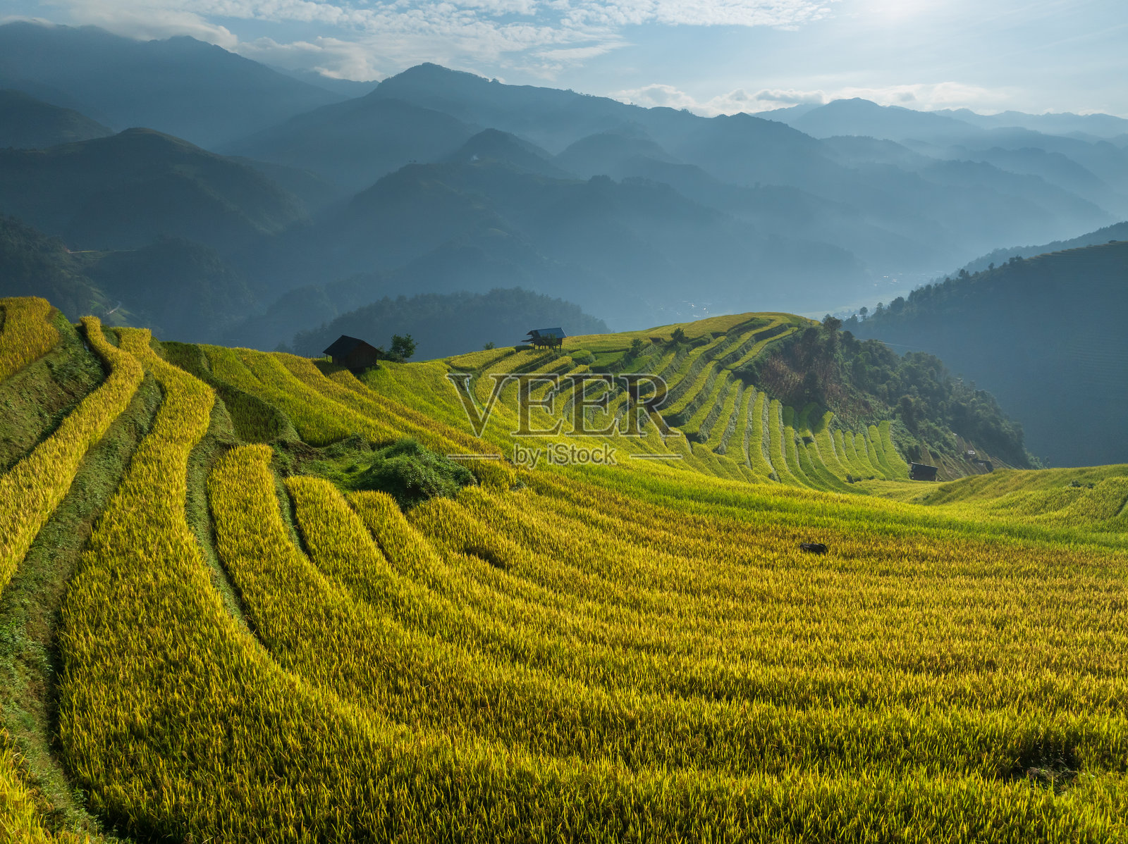 慕仓寨稻田梯田照片摄影图片