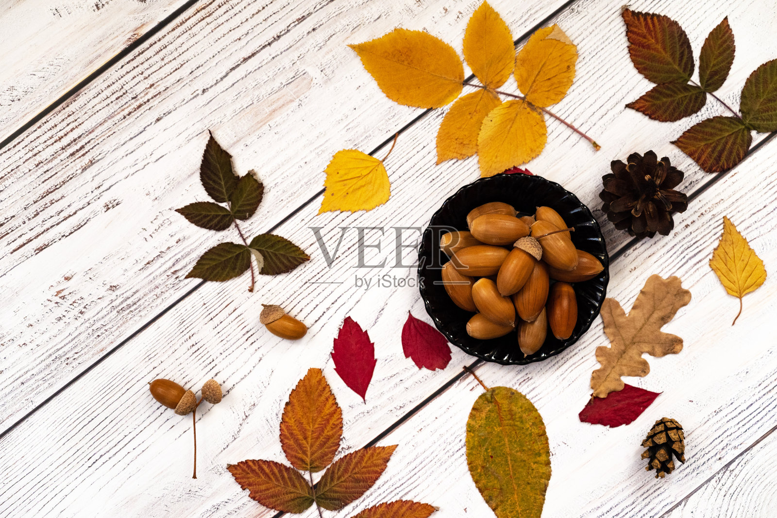 节日的秋天装饰由南瓜，浆果和树叶在白色的木制背景。感恩节或万圣节的概念。平铺秋天的构图与临摹空间。照片摄影图片