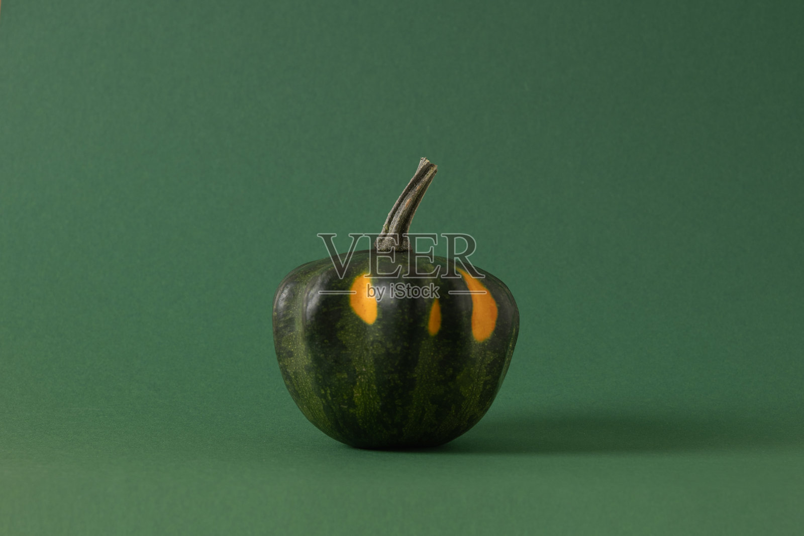 秋天的南瓜在绿色背景上。俯视图。感恩节。照片摄影图片