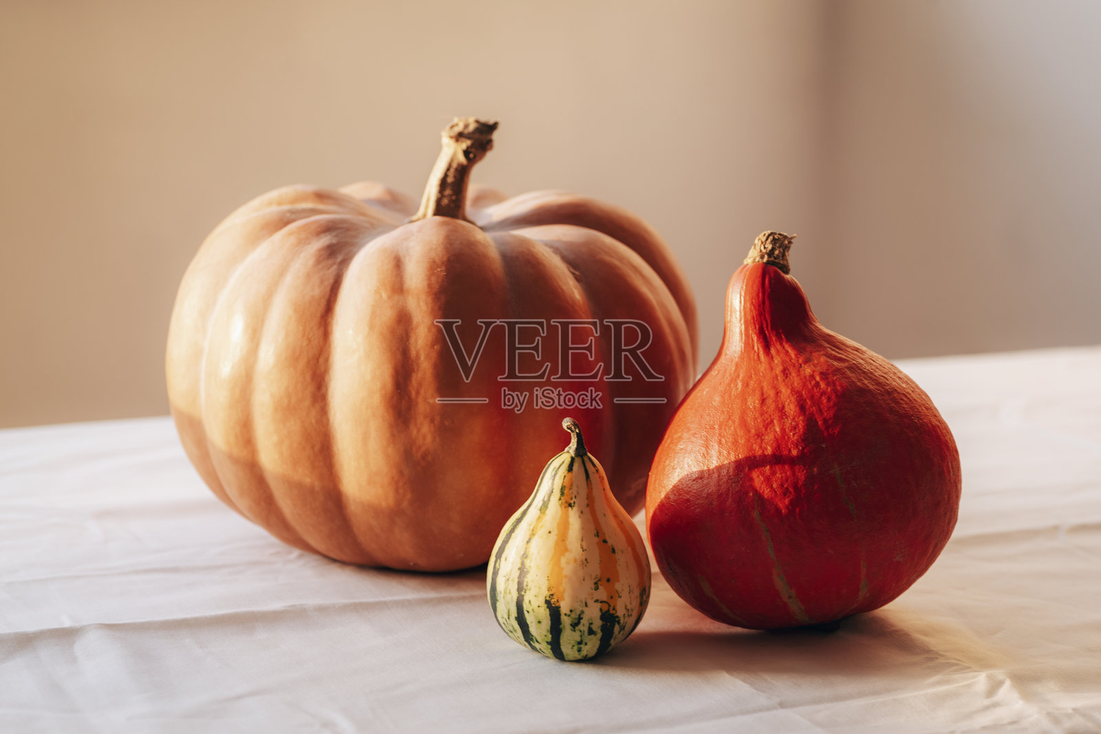 桌子上各种各样的南瓜。秋收，万圣节，感恩的概念。房间装饰，秋天假期，健康食品。近距离照片摄影图片