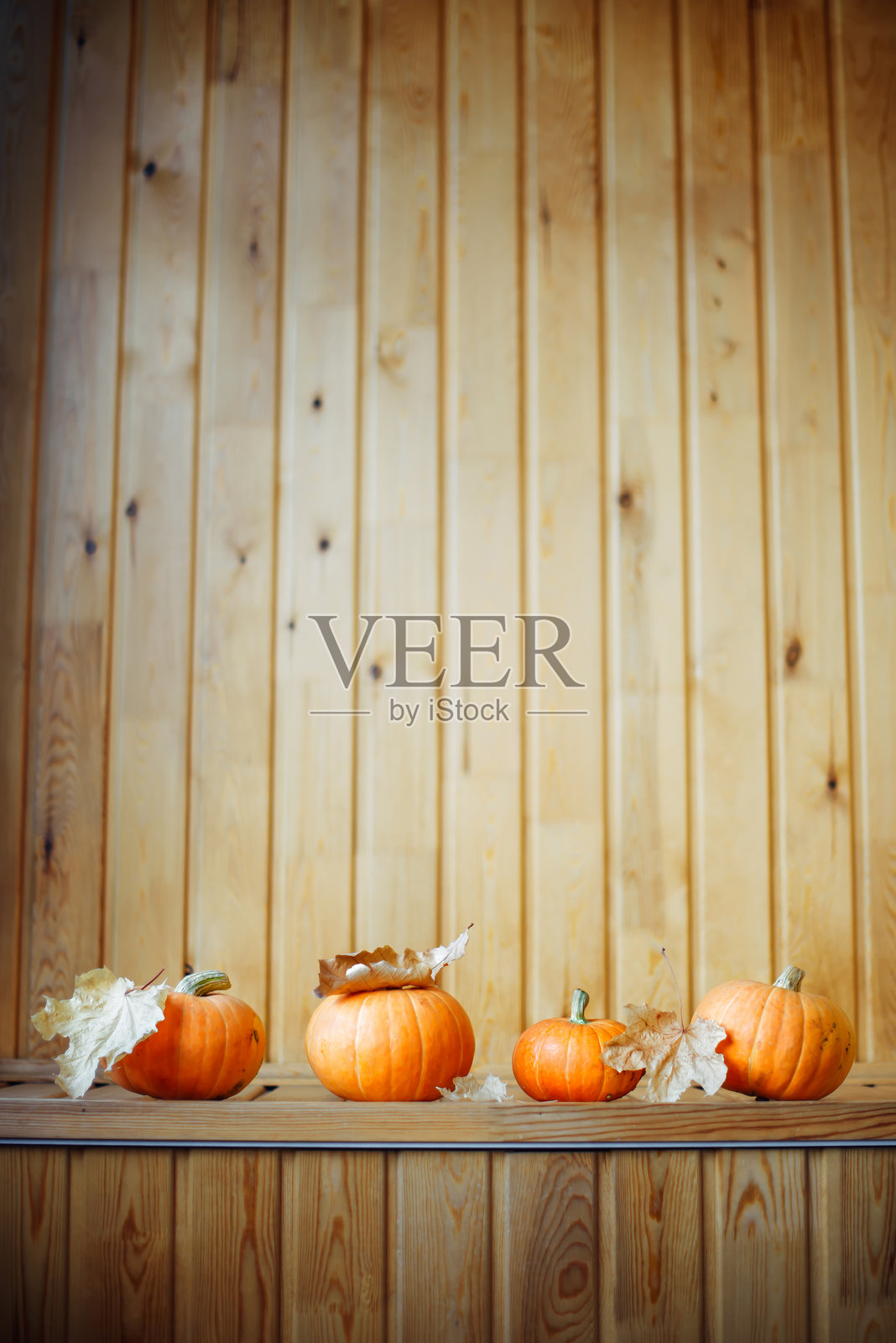 四个橙色的南瓜排成一排，黄色的秋叶在浅色的木制背景上，万圣节，感恩节和收获日的秋天概念照片摄影图片
