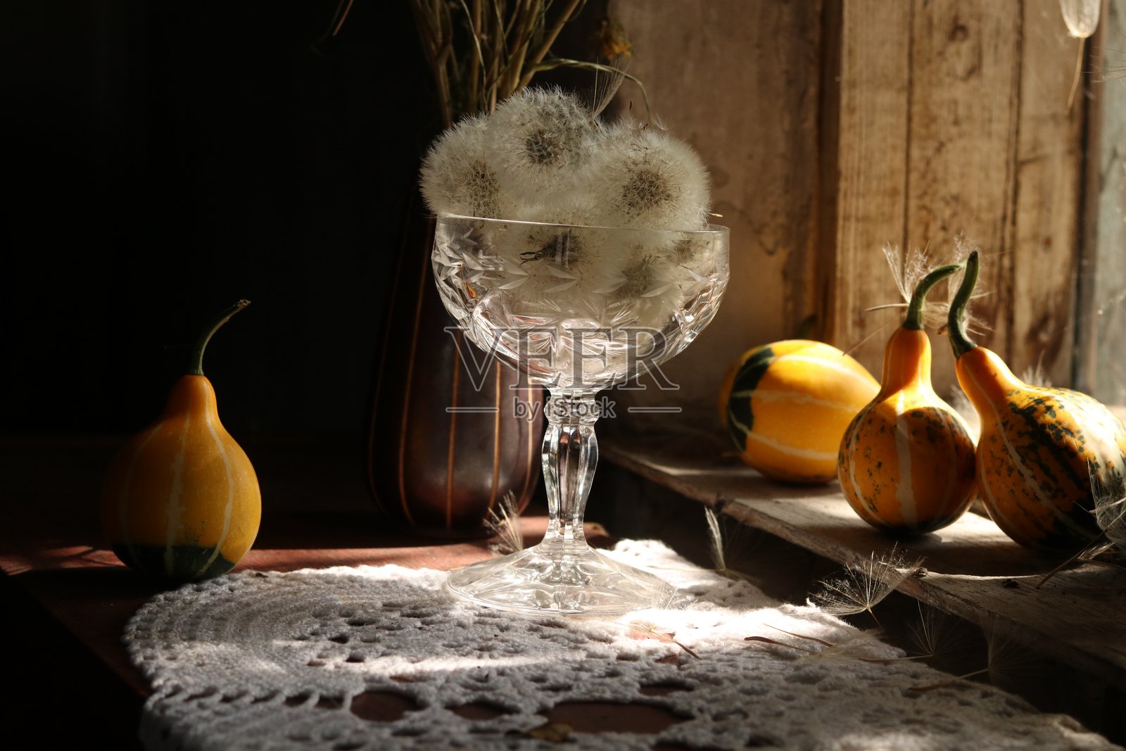 桌子上放着黄色的装饰性南瓜，旁边是一个装有蒲公英种子的花瓶照片摄影图片