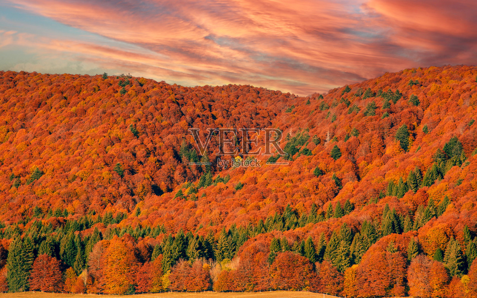 壮丽日落中的美丽秋色照片摄影图片
