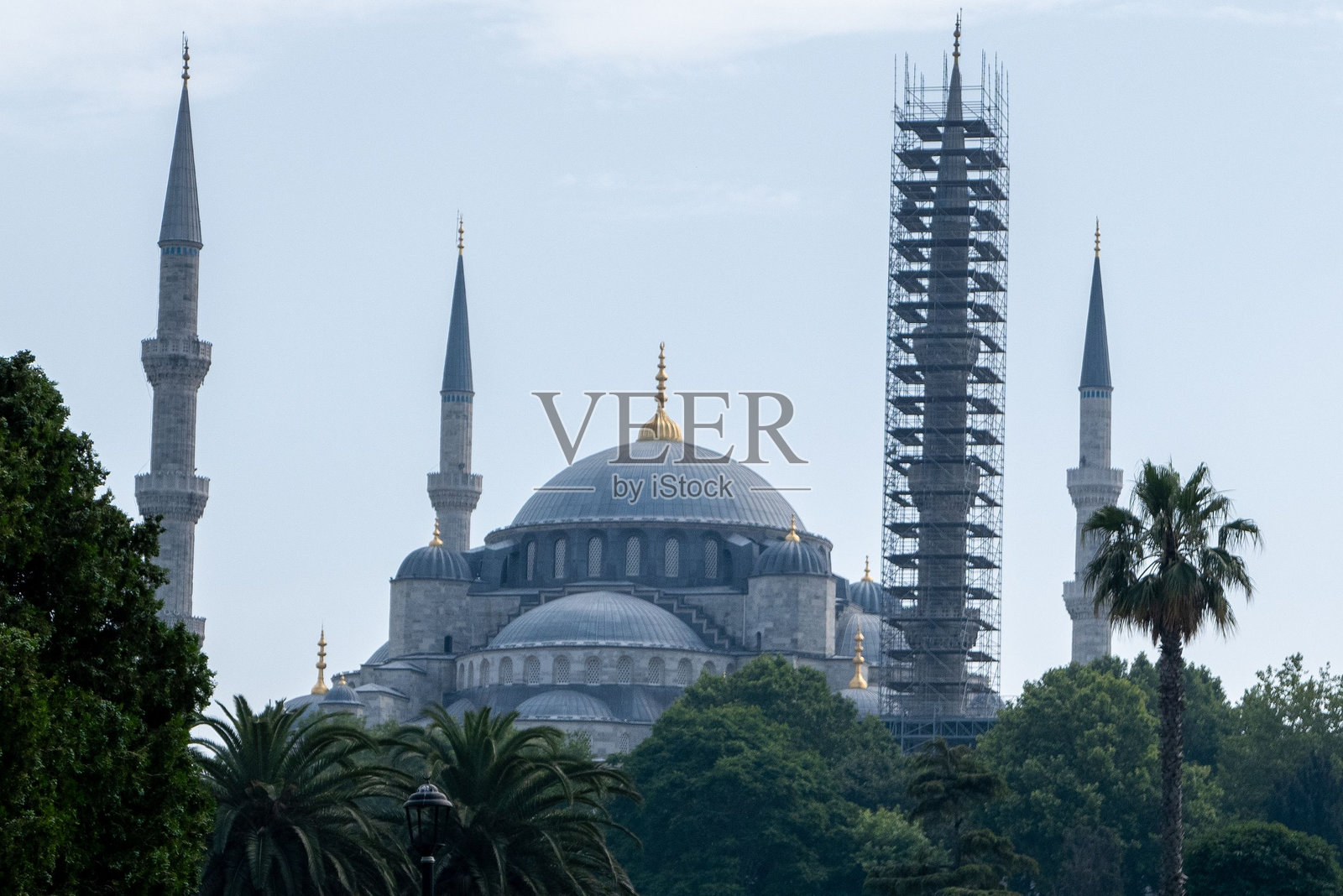 伊斯坦布尔的蓝色清真寺与郁郁葱葱的绿树。照片摄影图片