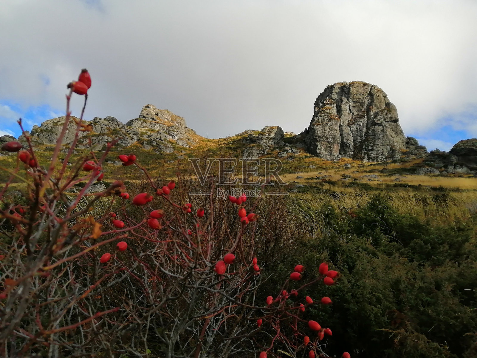 巴宾祖布照片摄影图片