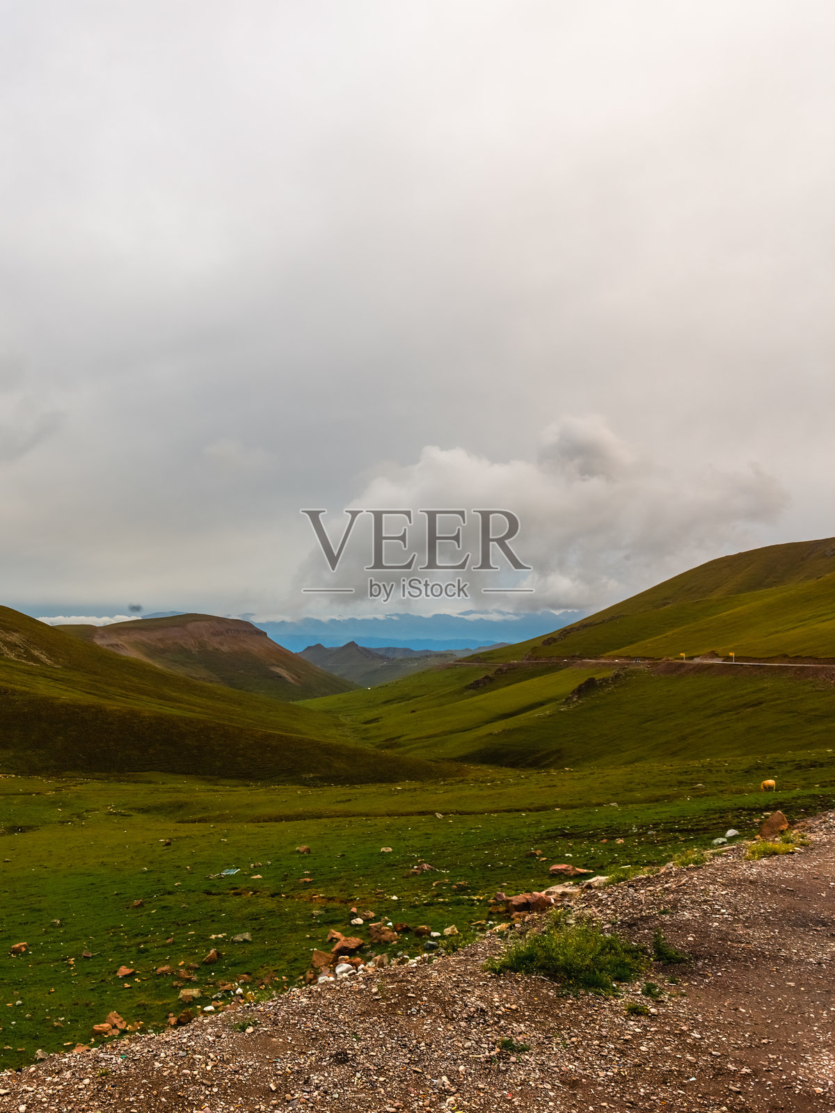 那拉提风景区照片摄影图片