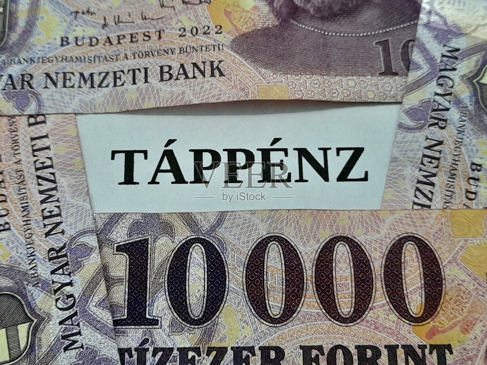 匈牙利福林纸币，带有“Táppénz（病假工资）”的副标题或文本照片摄影图片