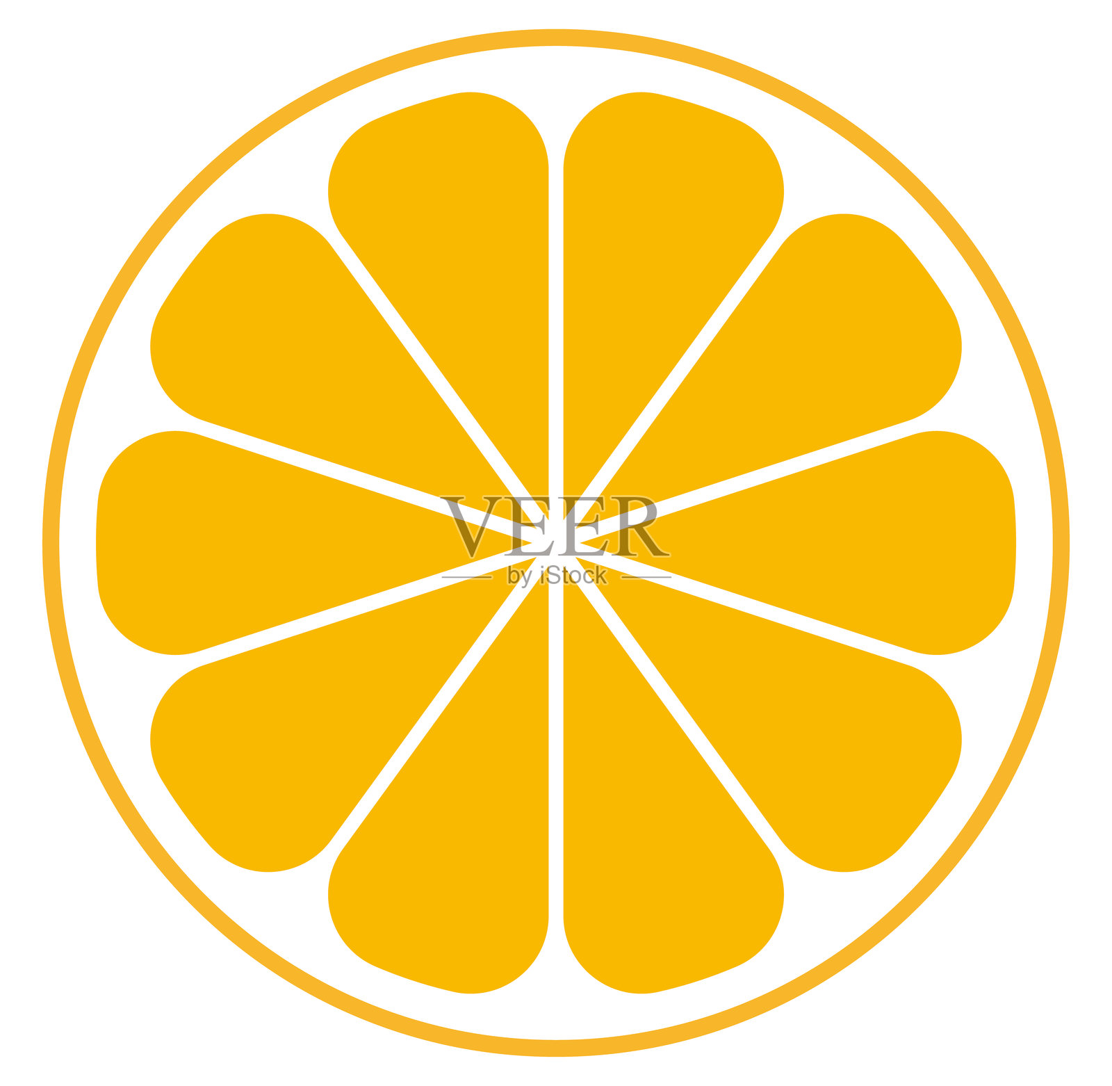 柠檬切片横截面插图素材