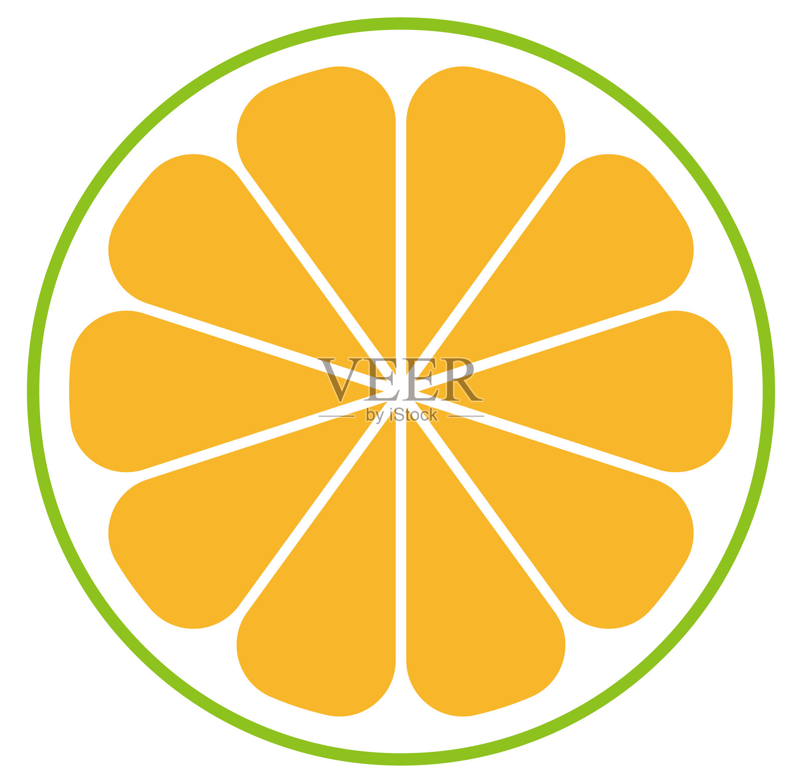 柑橘类水果“四季橙”切片横截面插图素材插画图片素材