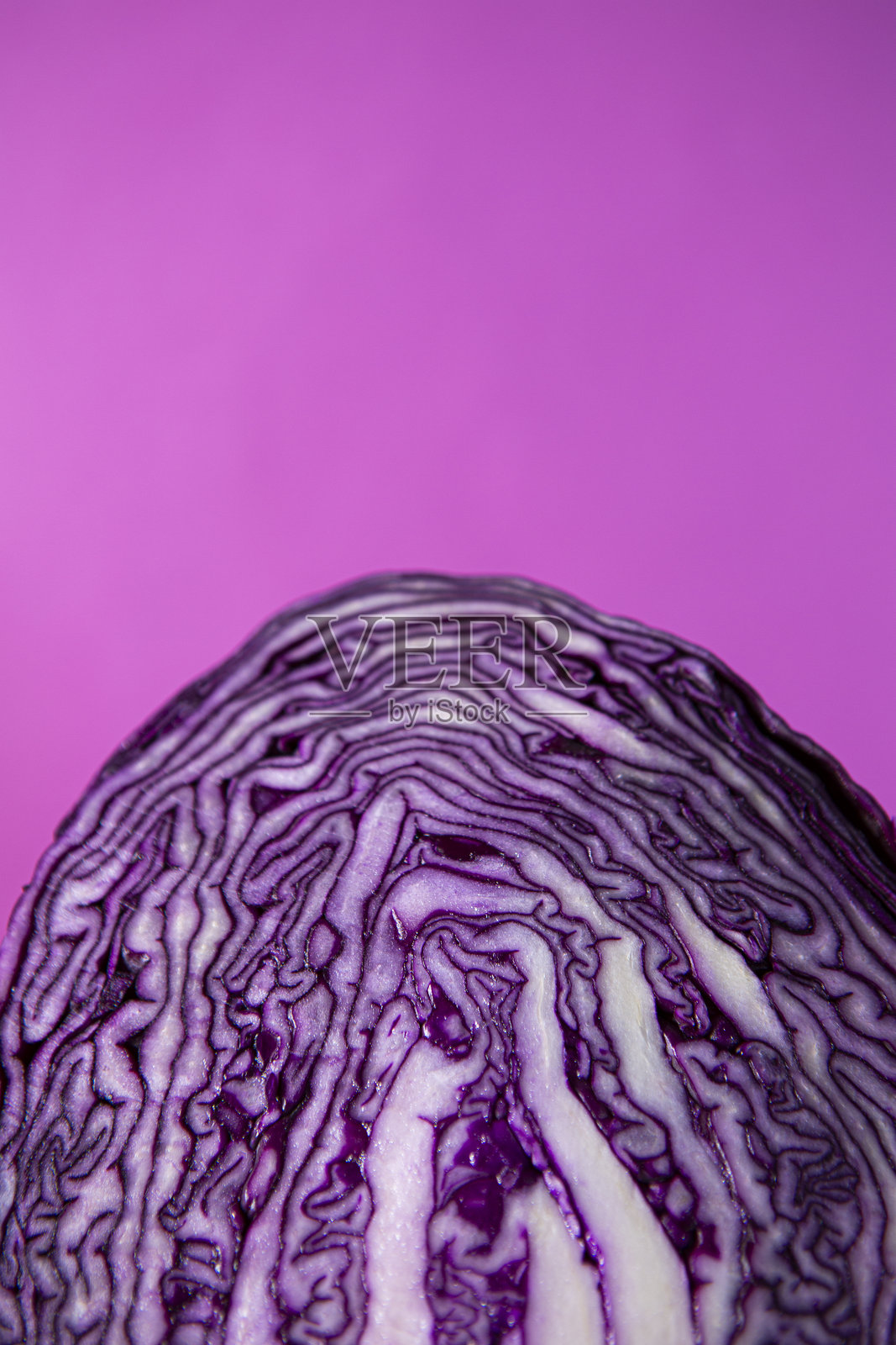 深紫色和白色的半个红甘蓝，背景为紫色照片摄影图片