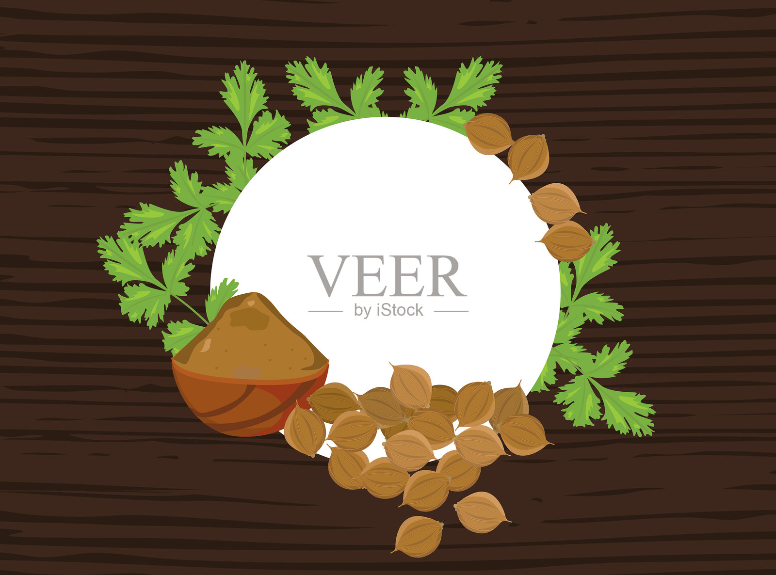 香菜种子与粉末插画图片素材