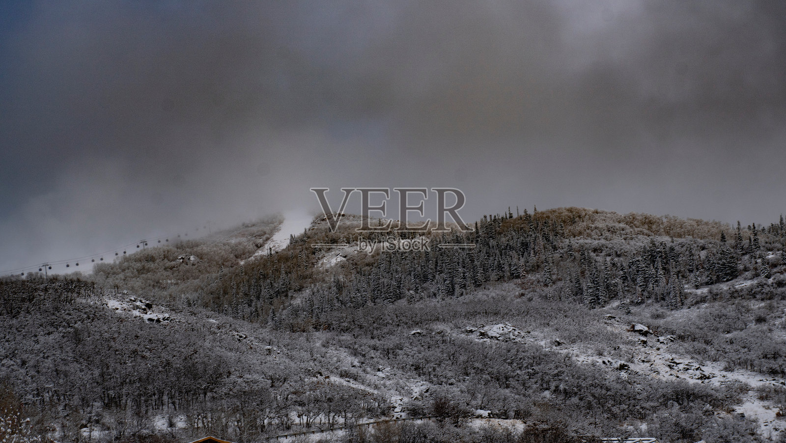 科罗拉多州的雪山森林照片摄影图片