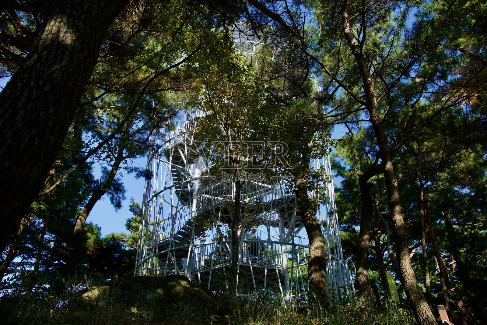 松树间的竹岛山天文台照片摄影图片