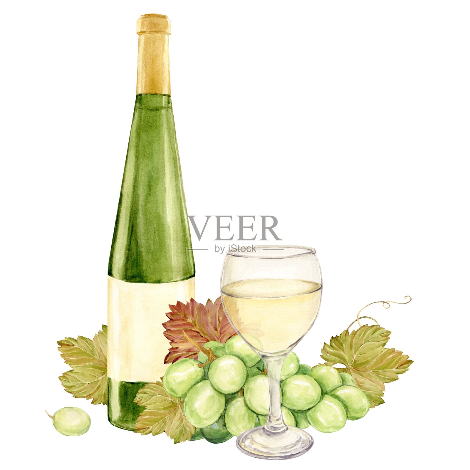 桌子上放着一枝水彩画的白葡萄，旁边是一杯白葡萄酒和一瓶绿色玻璃瓶。绿色浆果的插图。适用于品酒、菜单和酒单的剪贴画。插画图片素材