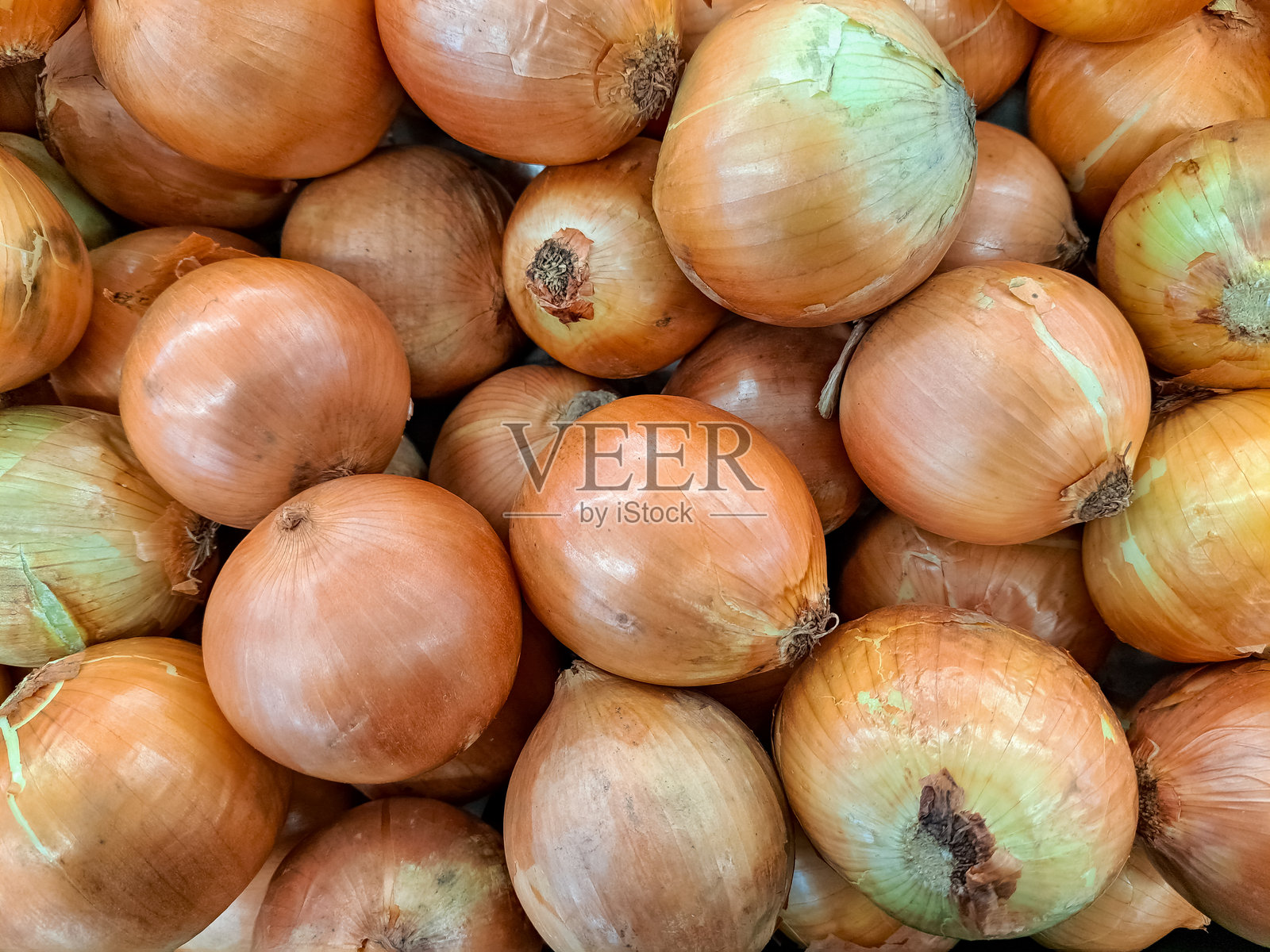 全景展示巴旺洋葱或棕色洋葱或黄色洋葱。俯视图。照片摄影图片