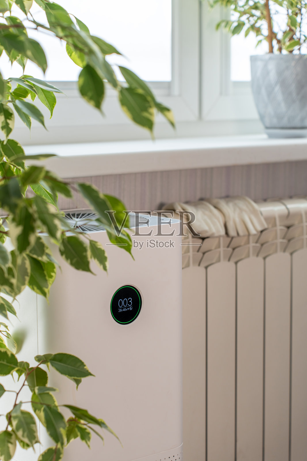 窗户背景下的中央供暖散热器和空气净化器，房间内有室内植物。散热器上放着编织手套。照片摄影图片