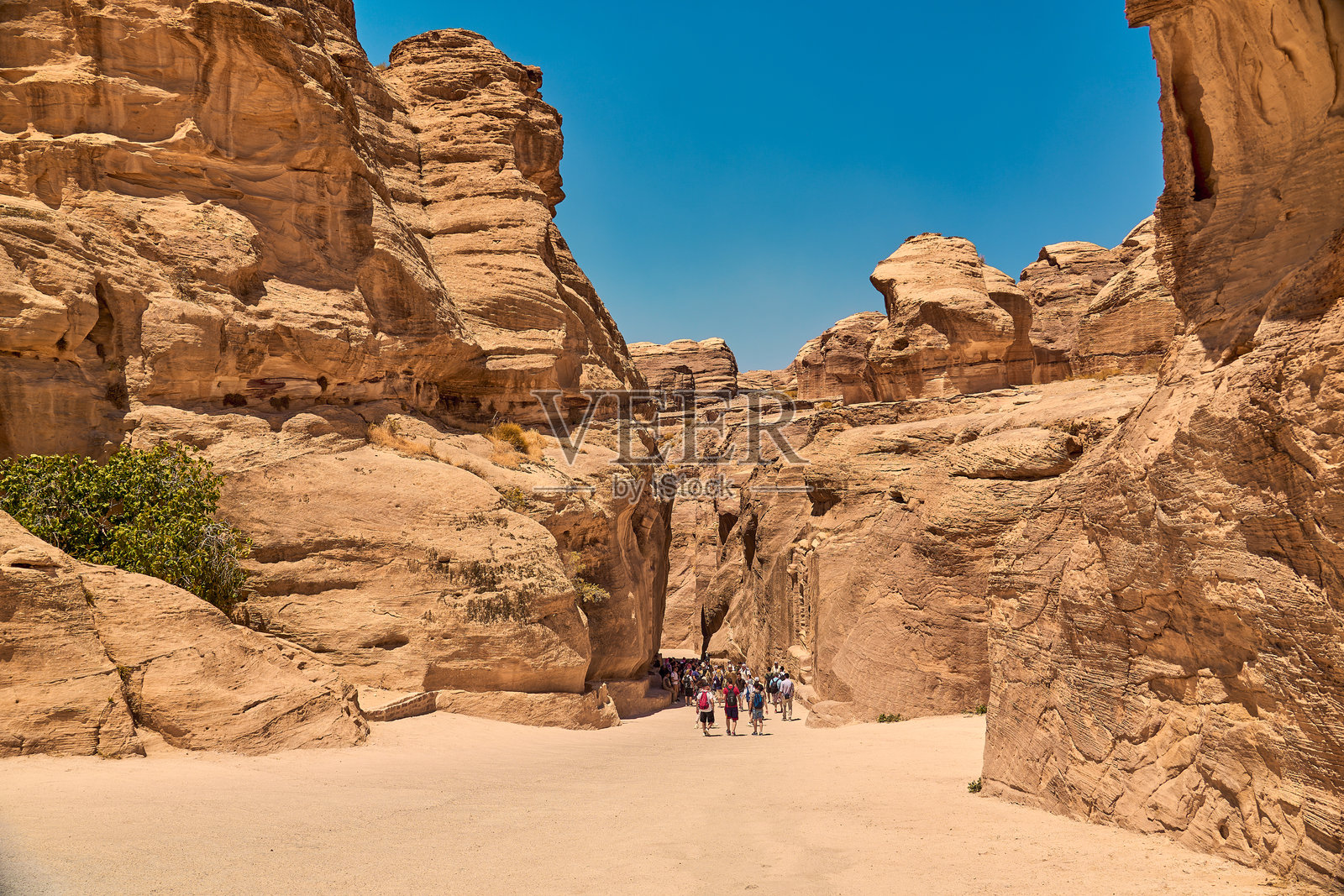 佩特拉，2024年约旦雕刻在岩石中的传奇城市照片摄影图片