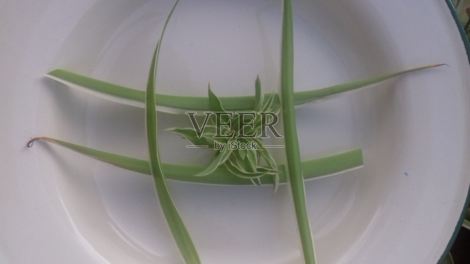 叶子设计照片摄影图片