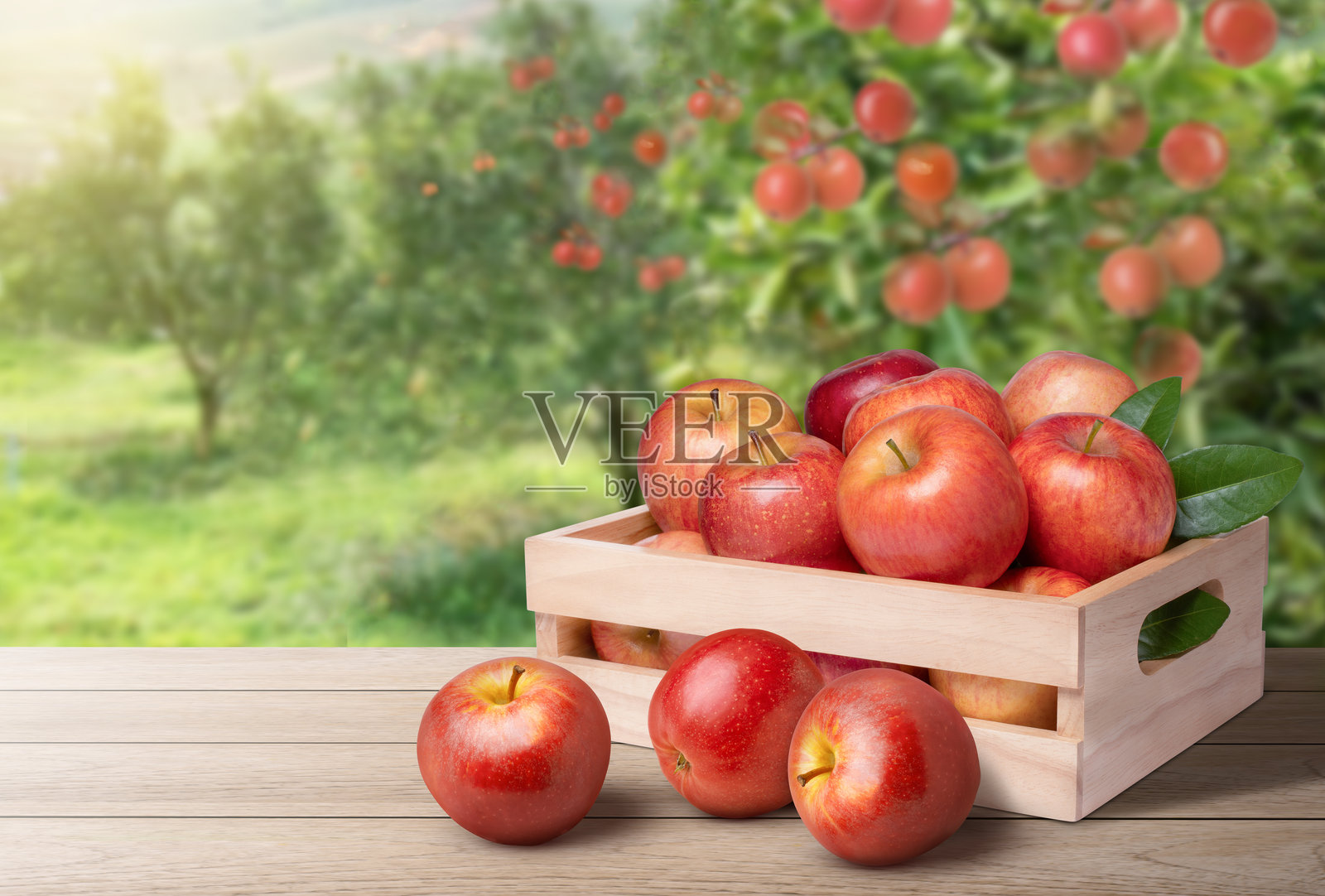 红色苹果在盒子里照片摄影图片