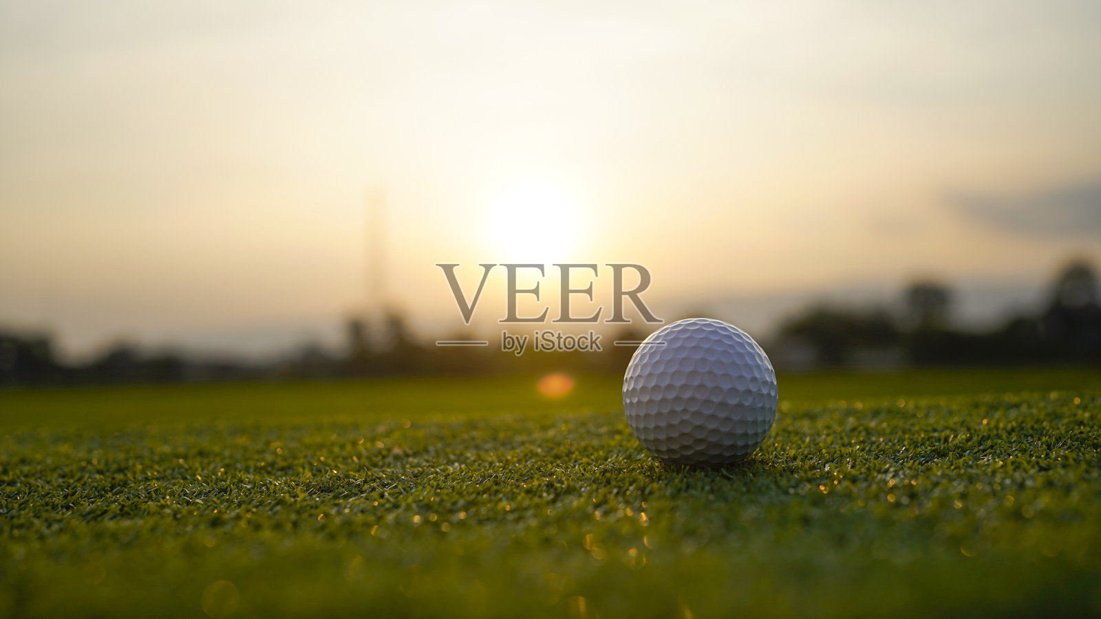 傍晚高尔夫球场上的绿色草坪上的高尔夫球。照片摄影图片