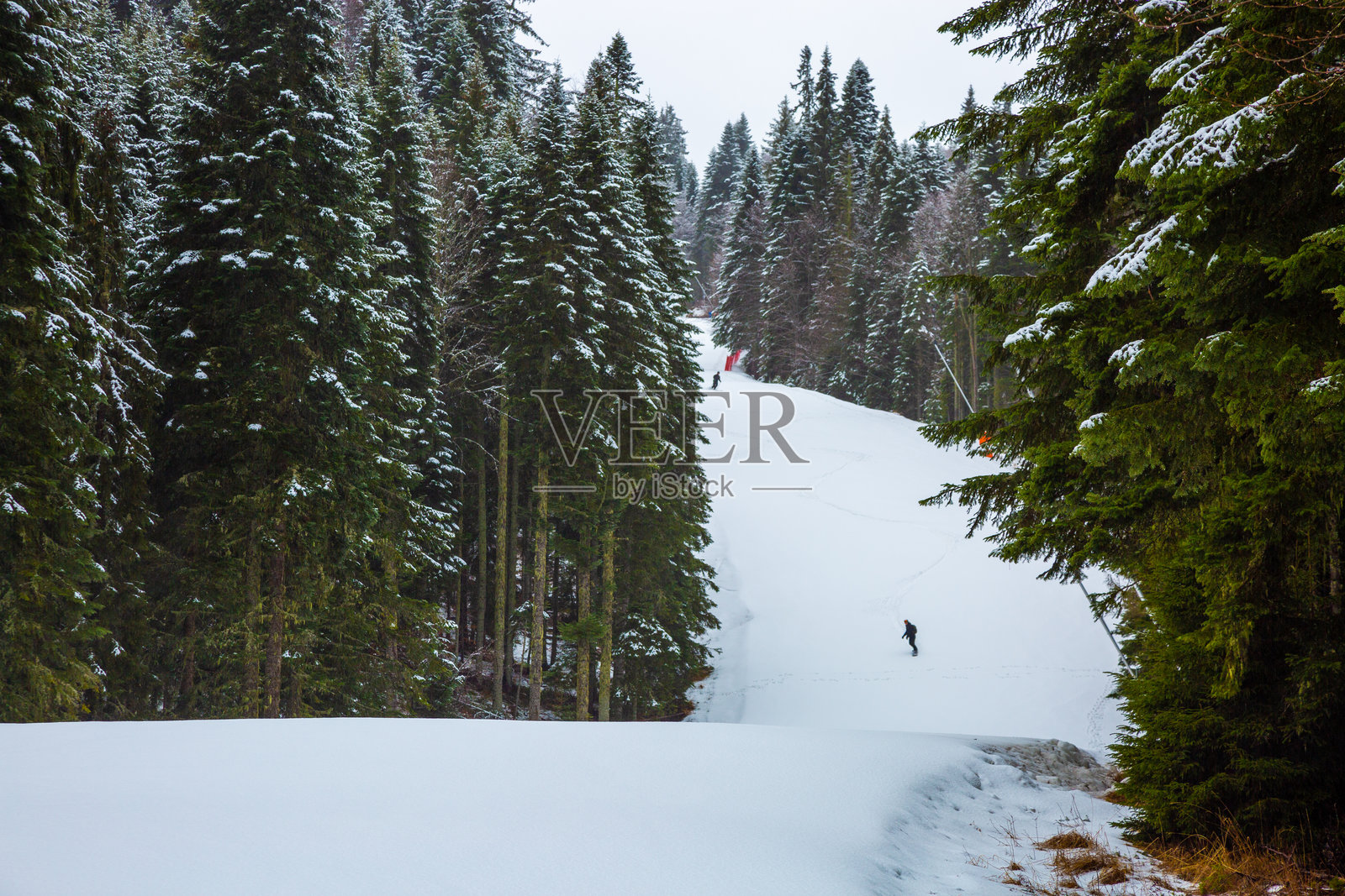 在神奇的冬季景观中滑雪照片摄影图片