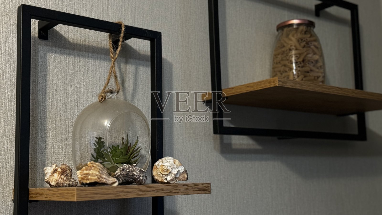 装饰性和时尚的架子，展示美丽的植物和迷人的海贝壳照片摄影图片