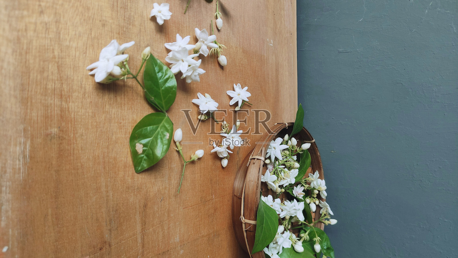 桌子上的白色茉莉花特写，散发着独特的宁静香气。照片摄影图片