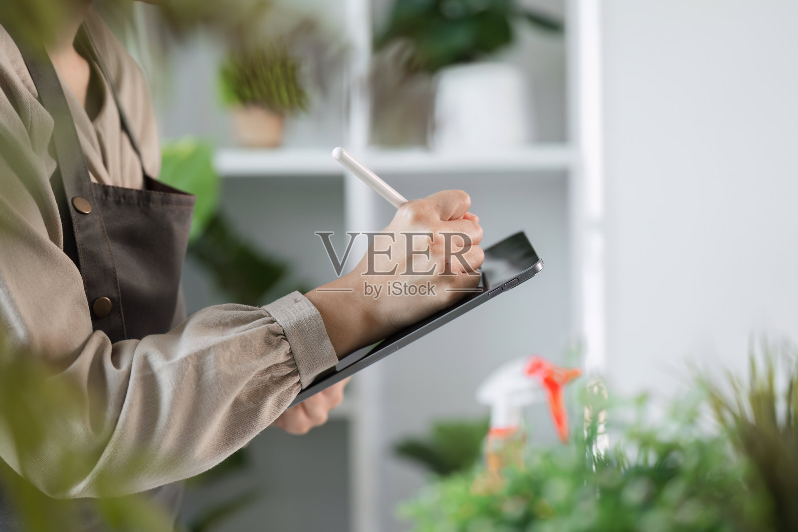 女性在现代家居环境中使用平板电脑进行室内园艺，周围环绕着郁郁葱葱的绿色植物照片摄影图片