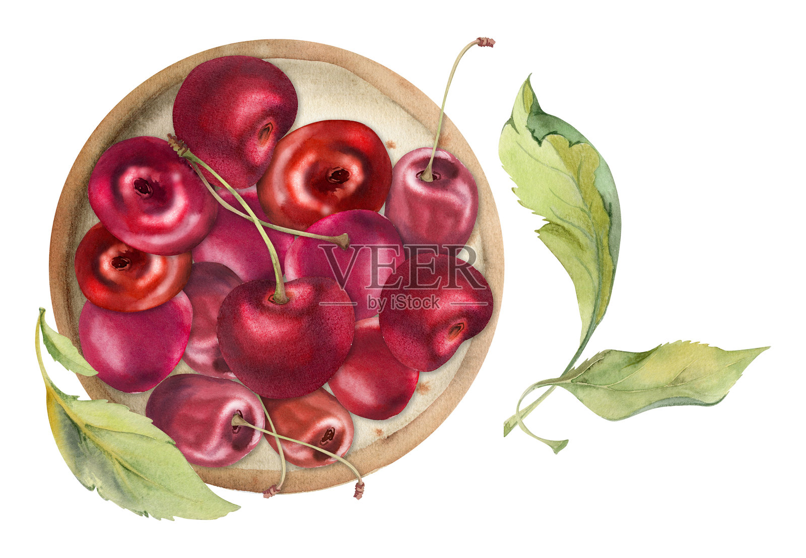 手绘水彩的甜酸红樱桃浆果，放在陶瓷盘上，成熟的樱桃色，带有叶子和茎。独立的构图插图。适用于餐厅、咖啡馆甜点菜单、婚礼、农贸市场。插画图片素材