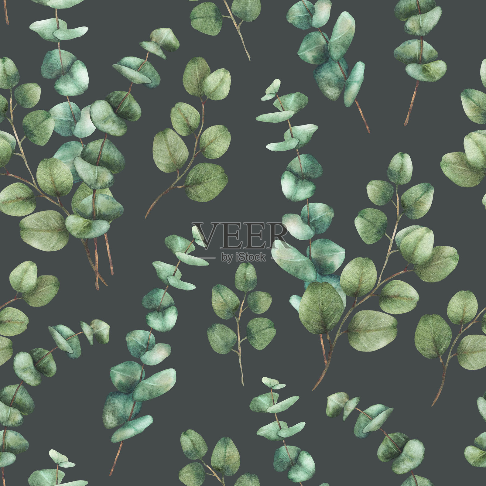 桉树绿叶植物无缝图案。水彩手绘绿色叶子花卉插图插画图片素材