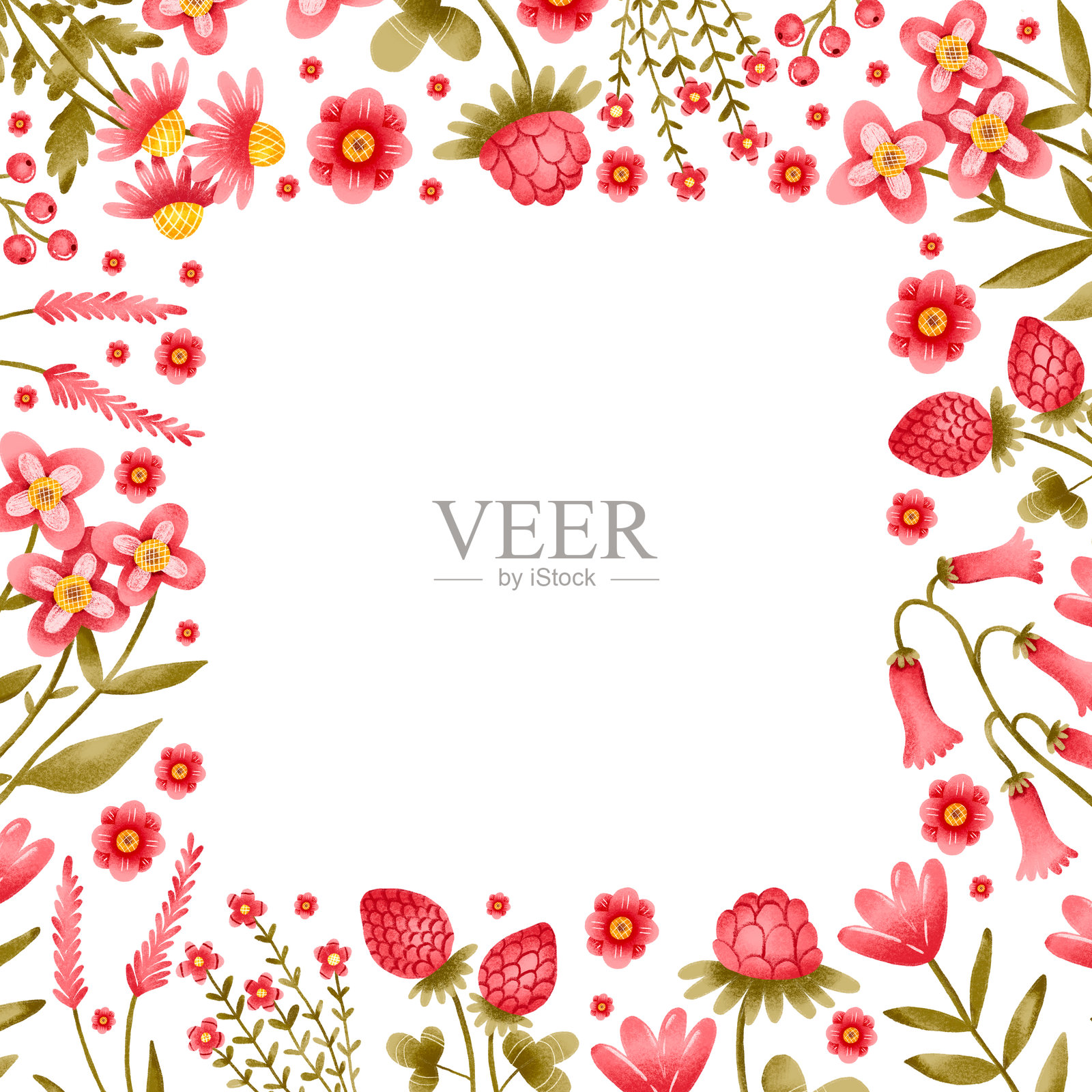 方形边框框架，手绘野花、草药、开花植物和盛开的花朵，背景独立。植物学插图。邀请函和贺卡。插画图片素材