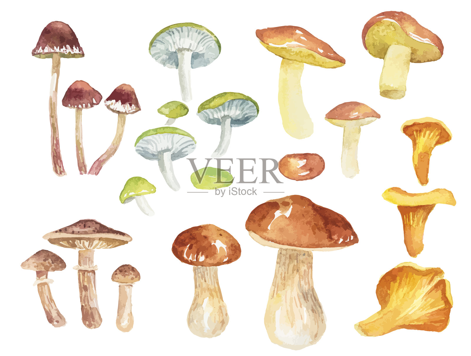 秋季蘑菇的抽象水彩插图。手绘自然设计元素，独立于白色背景。插画图片素材