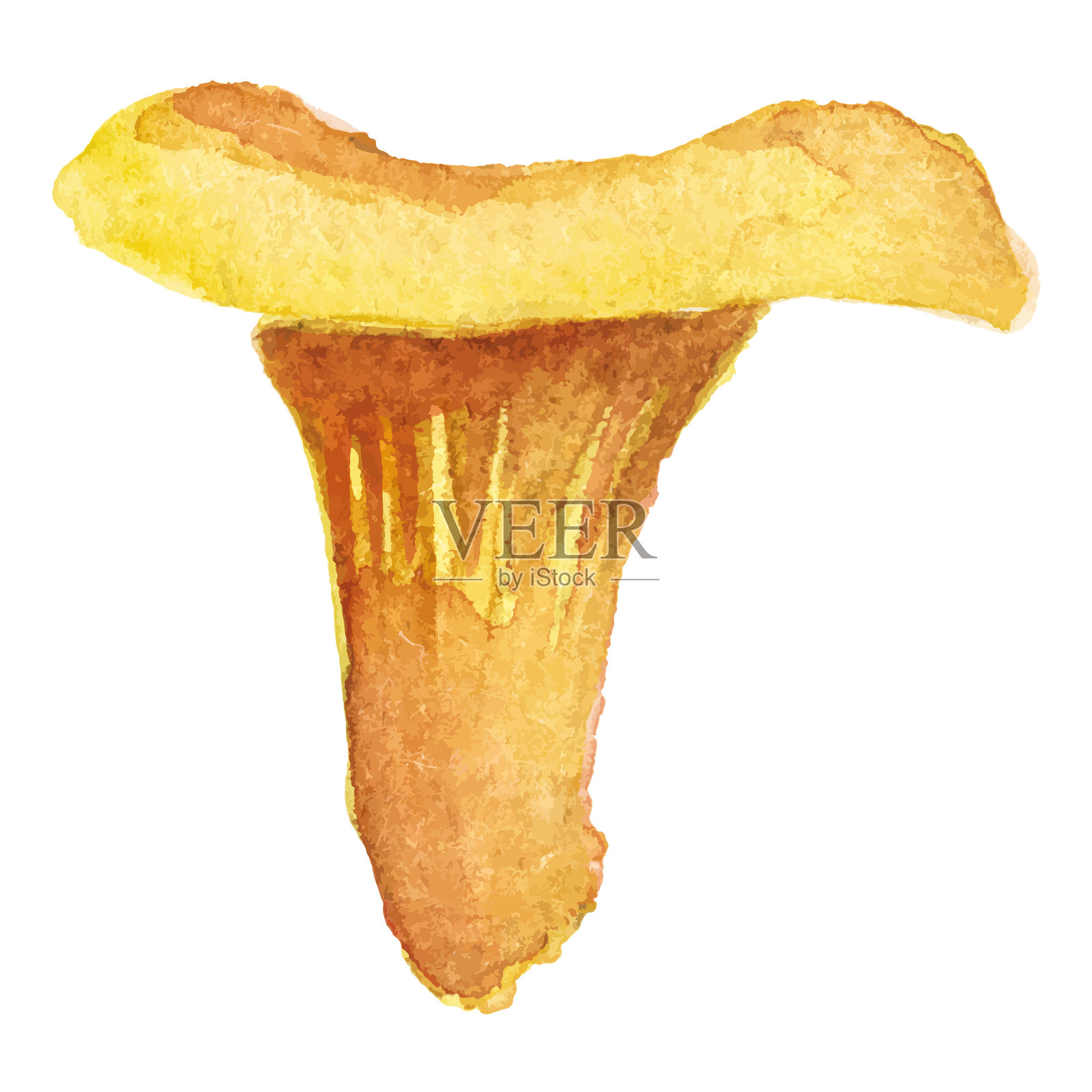 秋季蘑菇的抽象水彩插图。手绘自然设计元素，独立于白色背景。插画图片素材