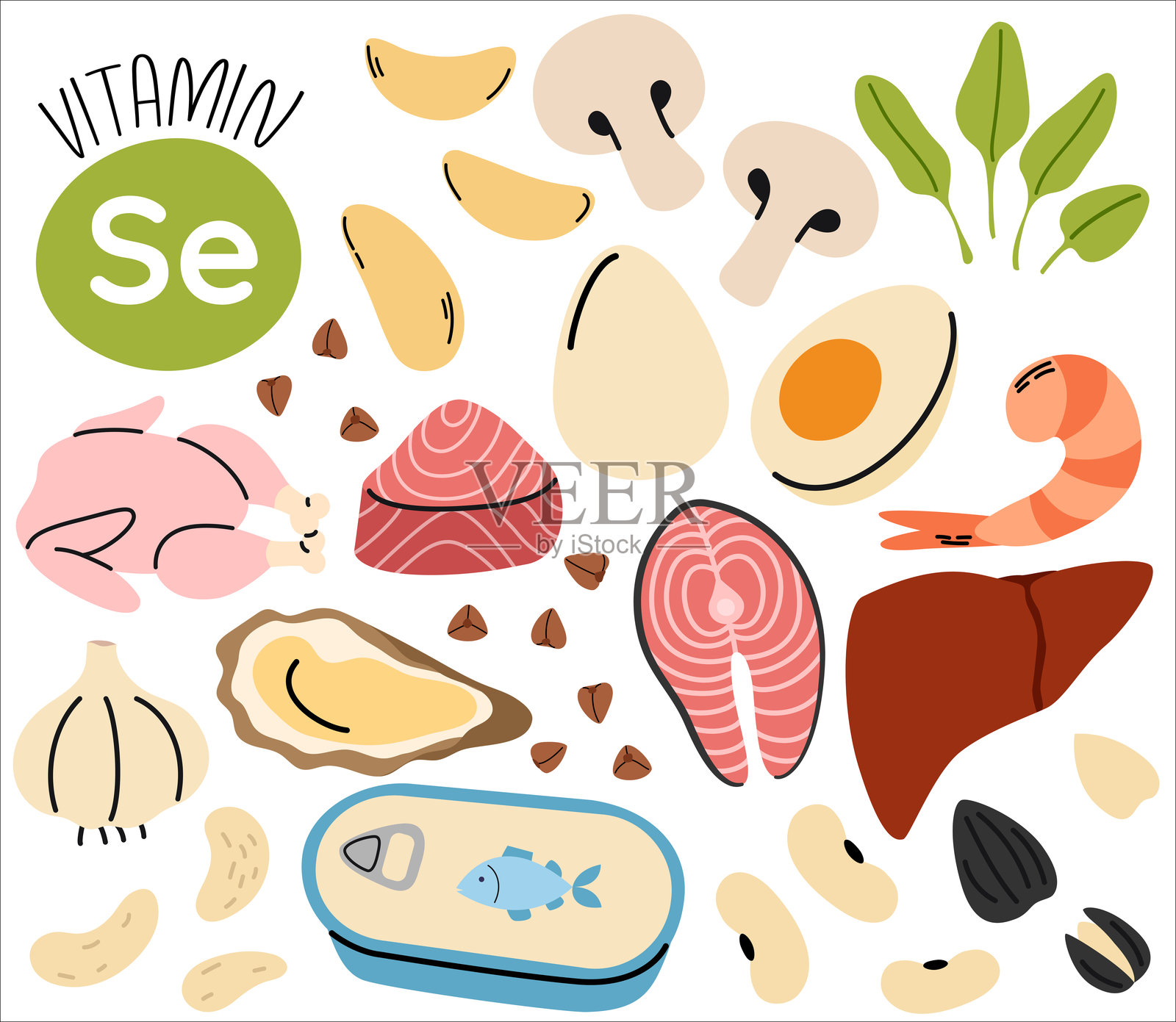 富含硒的高维生素食物来源。含有大量钙的产品组合。富含硒的食物。插画图片素材