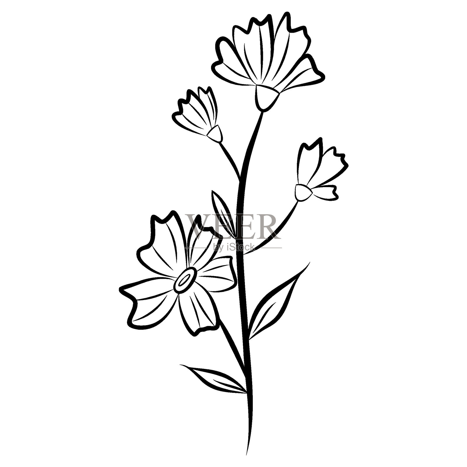 手绘线条艺术花朵插画图片素材