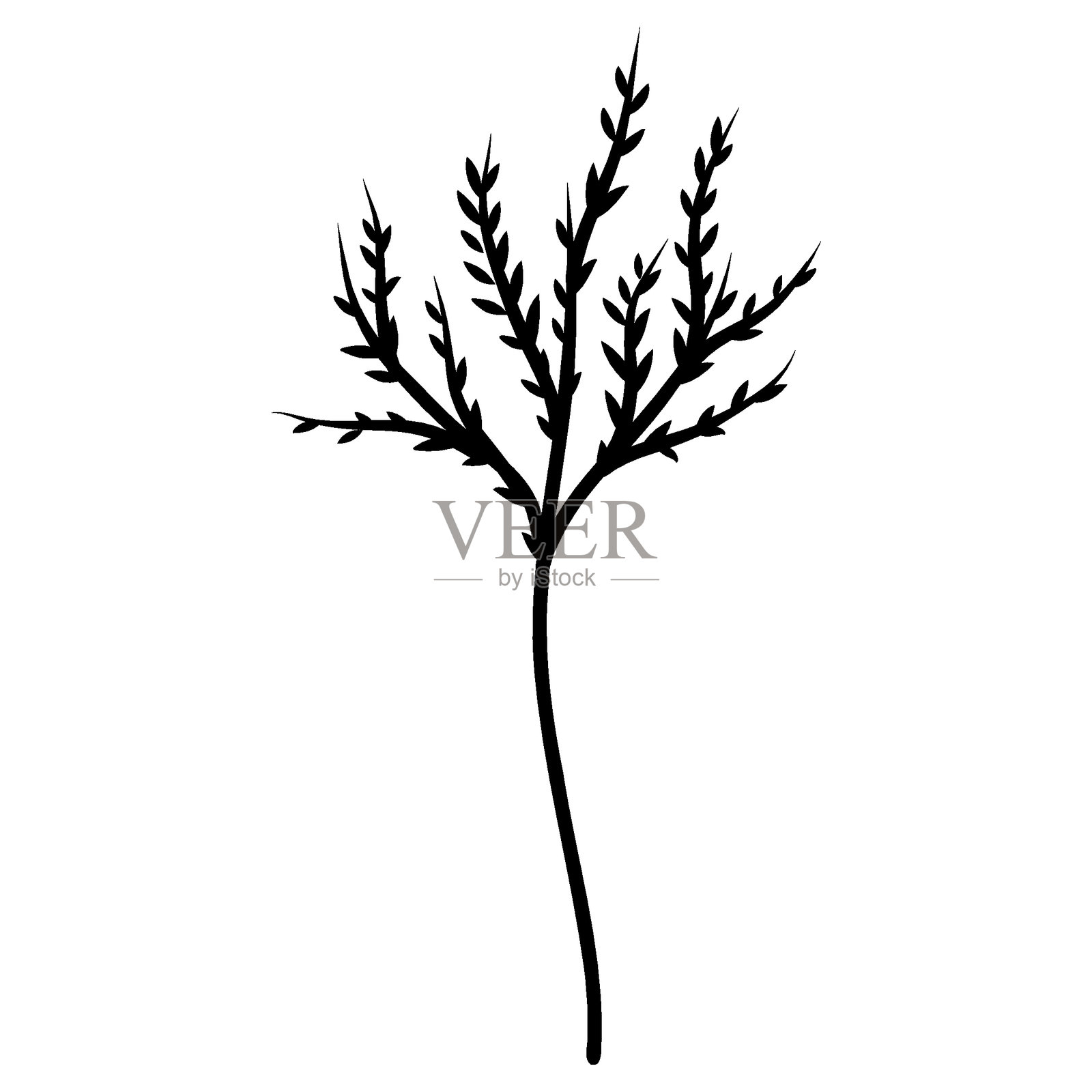手绘线条艺术的树枝插画图片素材