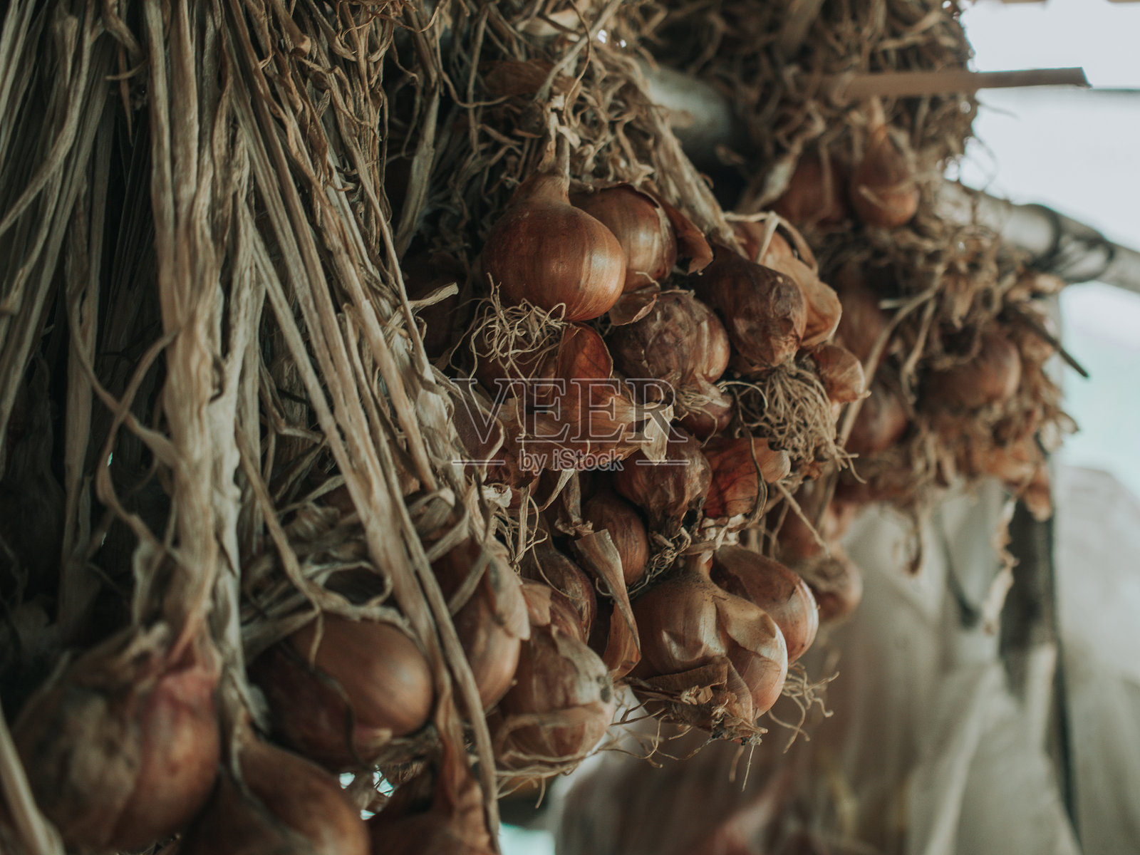 旧洋葱照片摄影图片