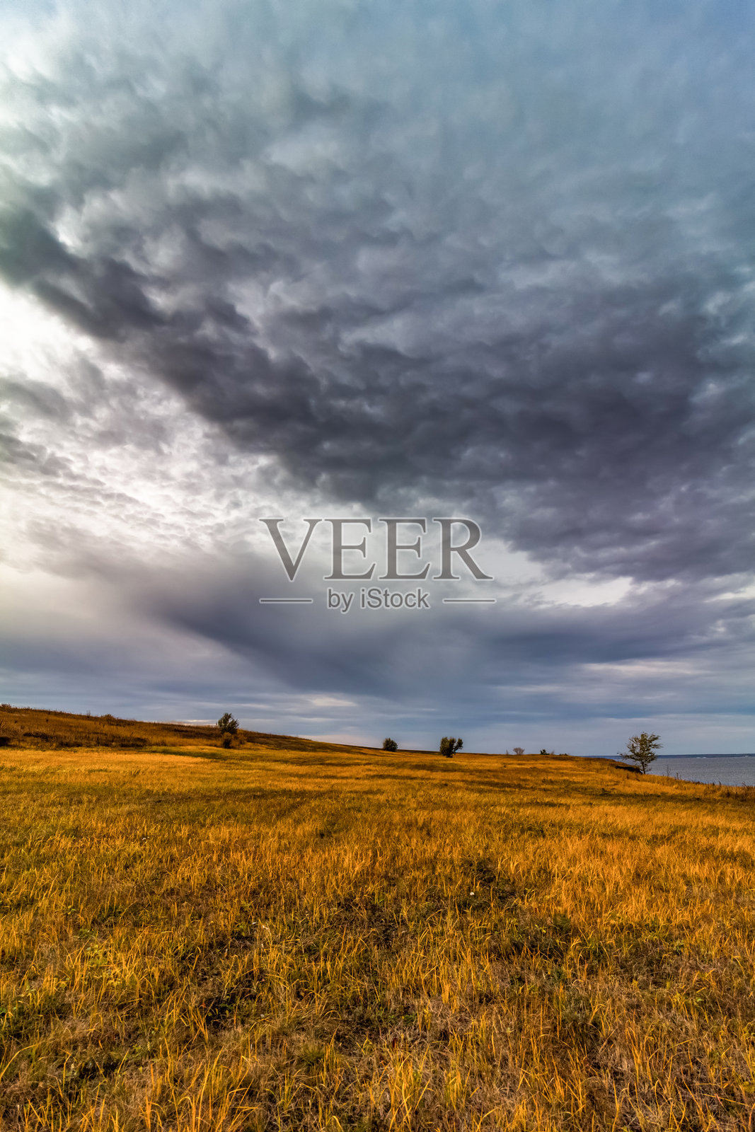 一片黄色的秋季田野照片摄影图片