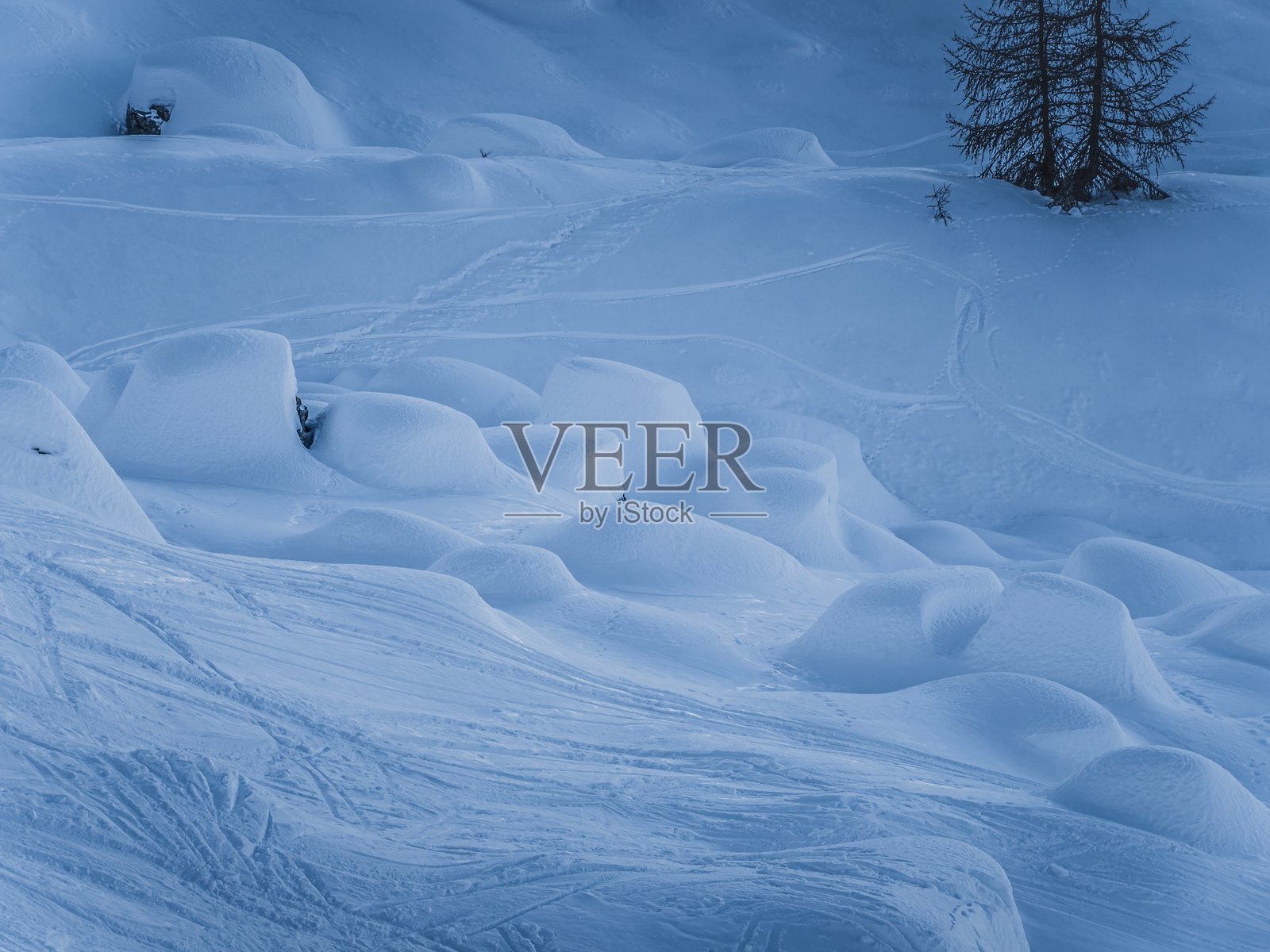 雪-covered冬季风景，树木与雪堆照片摄影图片