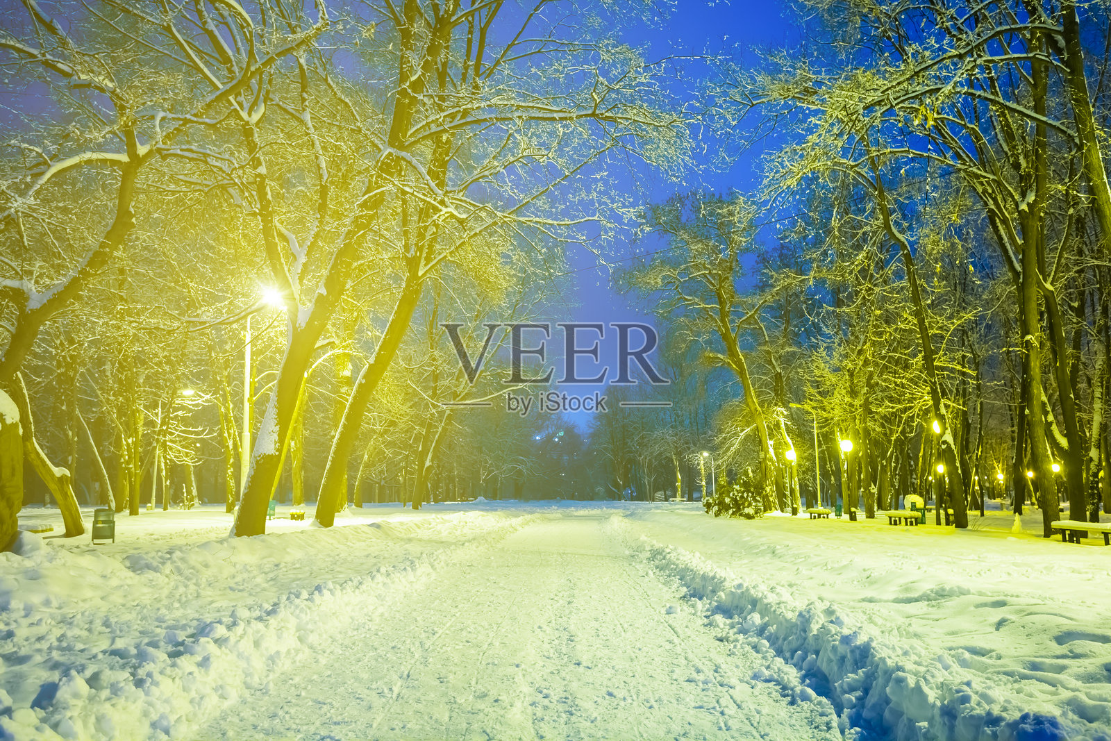 冬季被雪覆盖的公园，夜晚被灯笼照亮照片摄影图片