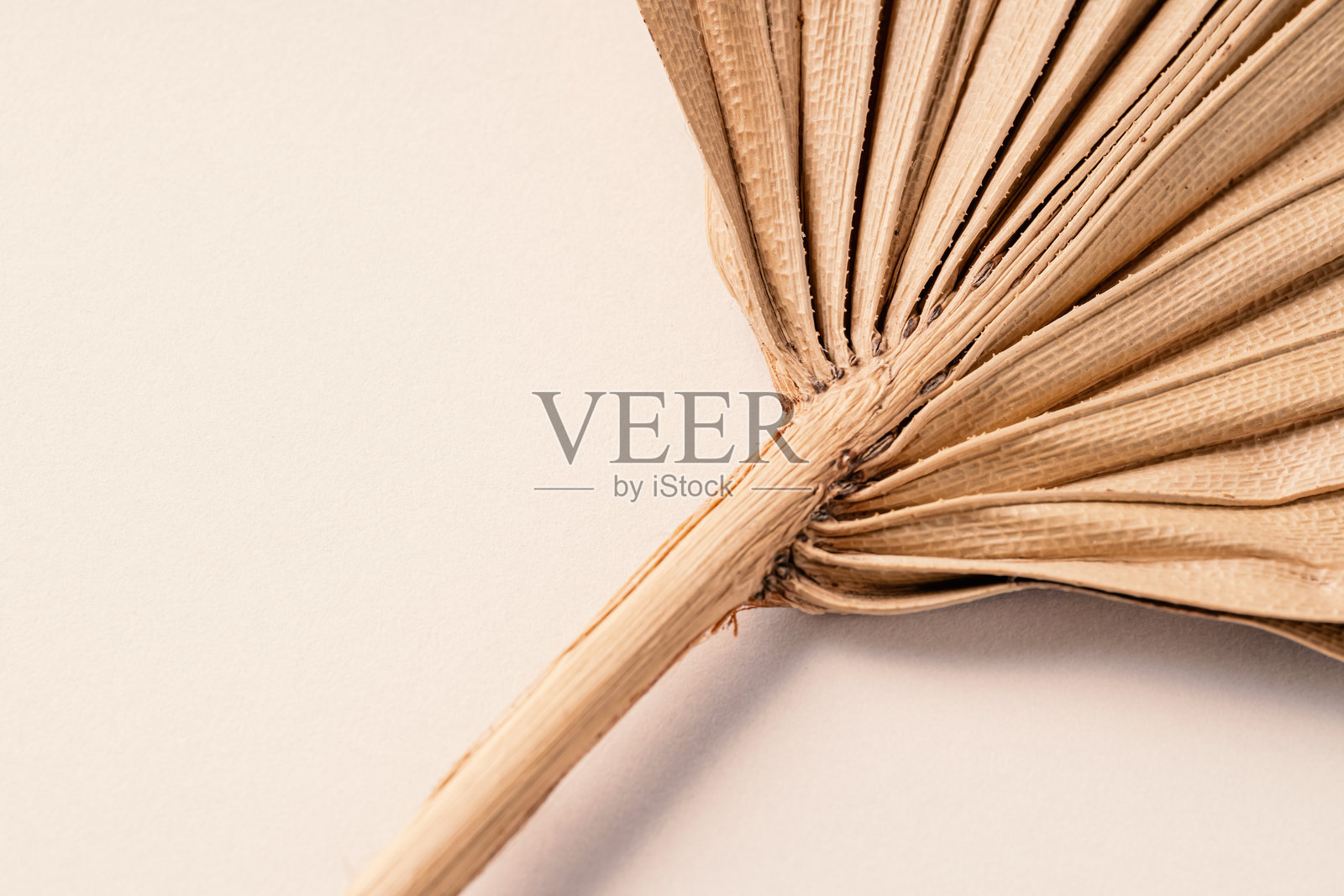 干枯的棕榈叶在米色背景上。平铺。俯视图。留白。调色图片。照片摄影图片