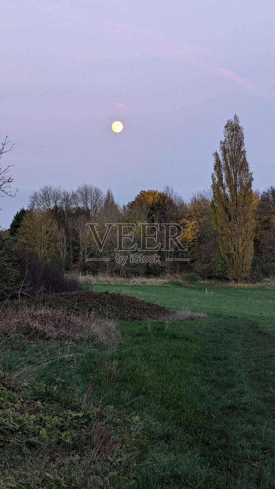 傍晚散步照片摄影图片