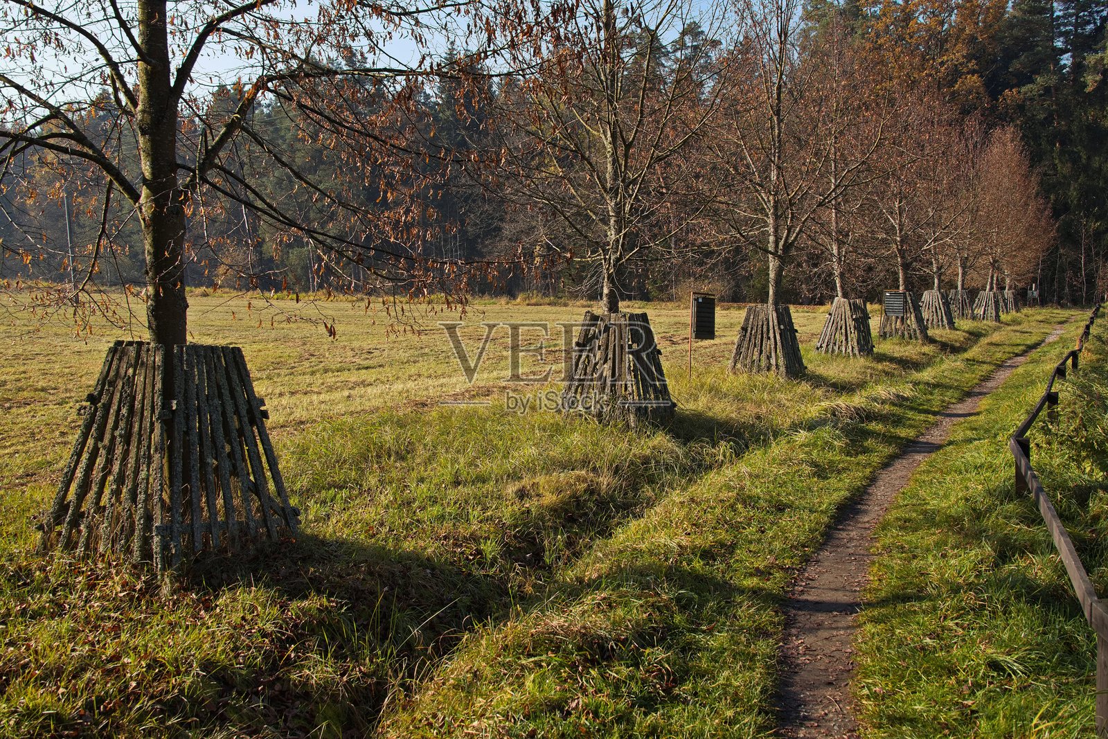捷克共和国南波希米亚地区金德里赫霍夫区特雷博恩的“斯维特”池塘周围的自然研究小径上的自然景观照片摄影图片