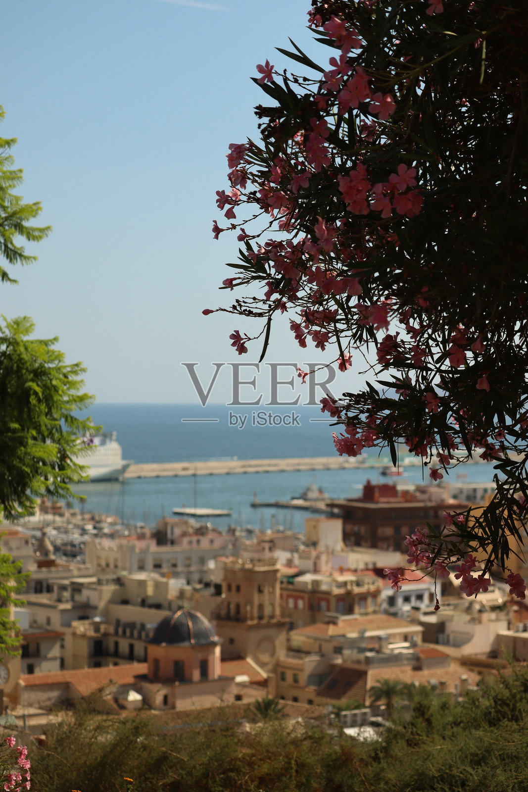 阿利坎特照片摄影图片