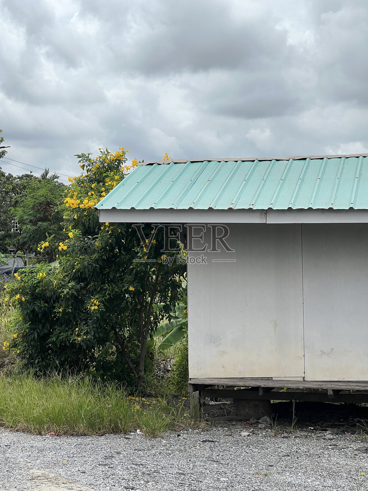 泰国乡村的小房子照片摄影图片