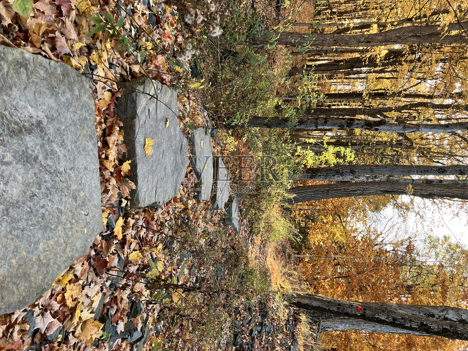 改变思维方式的路径照片摄影图片